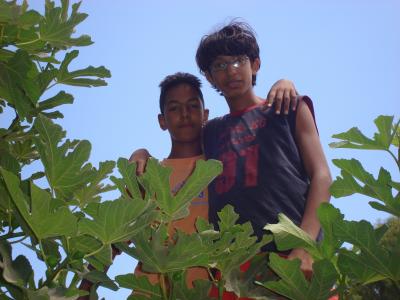 c moi e mon ami anase